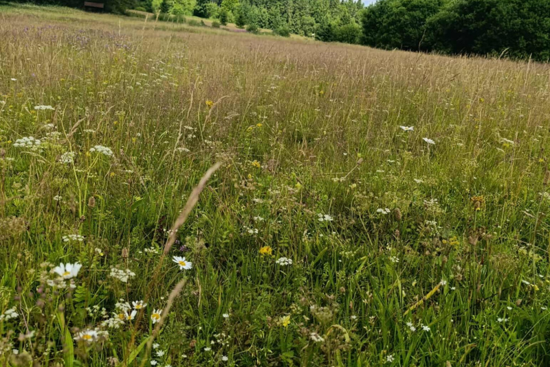 Oznamy / Publikácie / Spoločenstvo rodín na Čuntave - foto Oznamy / Publikácie / Spoločenstvo rodín na Čuntave - foto