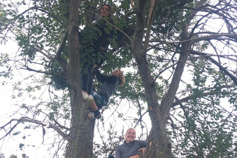 Oznamy / Publikácie / Stretnutie mladých so Svätým Otcom - foto Oznamy / Publikácie / Stretnutie mladých so Svätým Otcom - foto