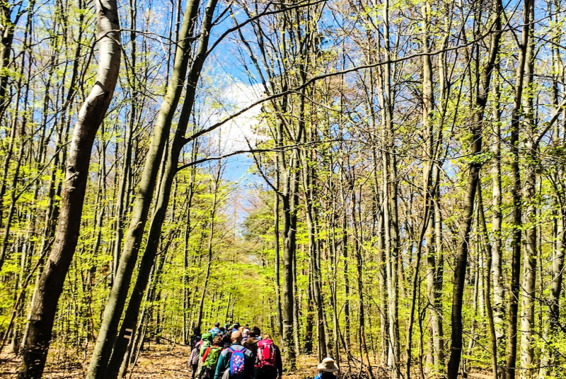 Oznamy / Publikácie / Pešia púť na Staré Hory 28.4. - 1.5.2023 - foto Oznamy / Publikácie / Pešia púť na Staré Hory 28.4. - 1.5.2023 - foto