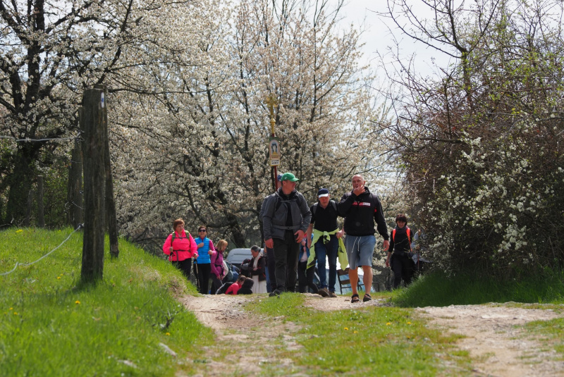 Oznamy / Publikácie / Pešia púť na Staré Hory 28.4. - 1.5.2023 - foto Oznamy / Publikácie / Pešia púť na Staré Hory 28.4. - 1.5.2023 - foto