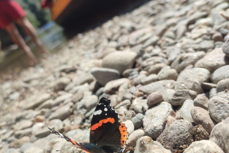 Diecézne centrum mládeže  - aktivity / Dobrodružný splav Hrona - 21. august 2023 - foto Diecézne centrum mládeže  - aktivity / Dobrodružný splav Hrona - 21. august 2023 - foto